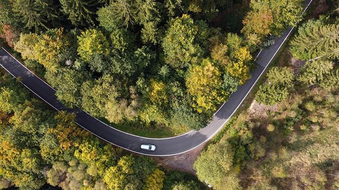 Overhead view of a car driving through a forest